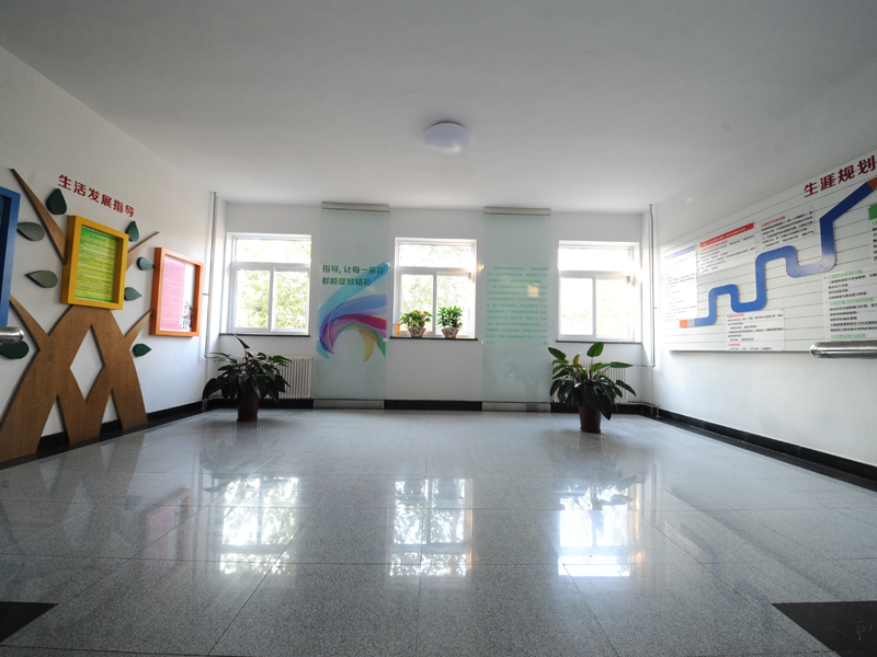 学生发展指导